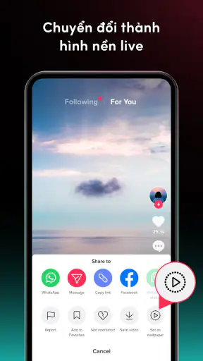 TikTok Video Wallpaper