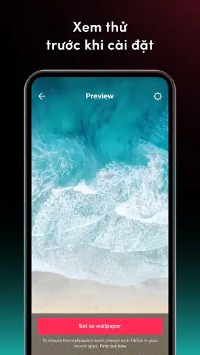 TikTok Video Wallpaper
