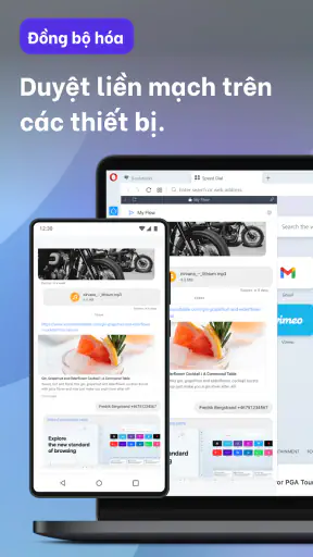 Trình duyệt Opera với VPN