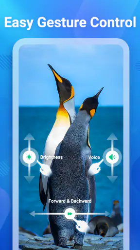Trình phát video HD