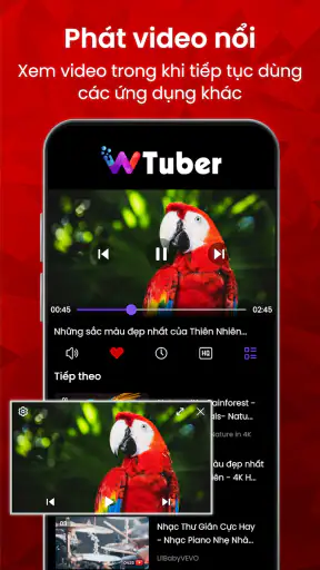 Trình Phát Video - wTuber