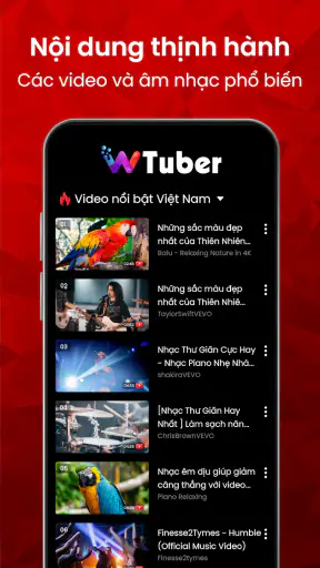 Trình Phát Video - wTuber