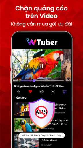 Trình Phát Video - wTuber