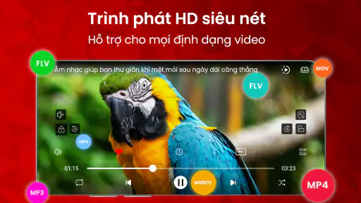 Trình Phát Video - wTuber