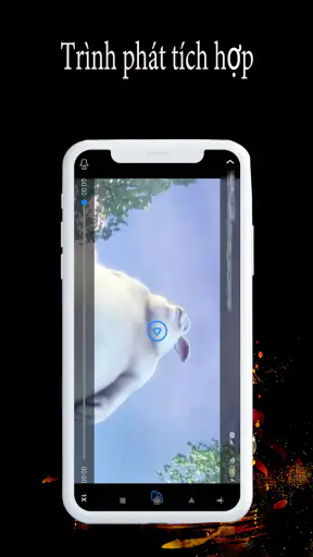 Trình tải xuống video nhanh