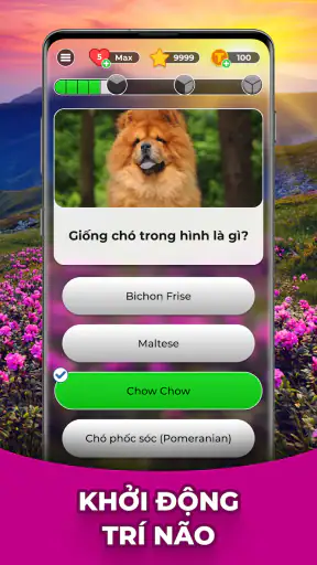 Triviascapes: kiểm tra IQ