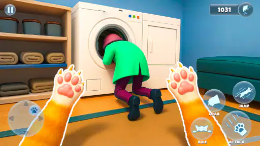 trò đùa của bà già mèo xấu