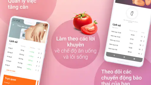 Trợ lý mẹ bầu.Theo dõi thai kỳ
