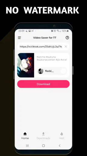 TSaver: Downloader for TT