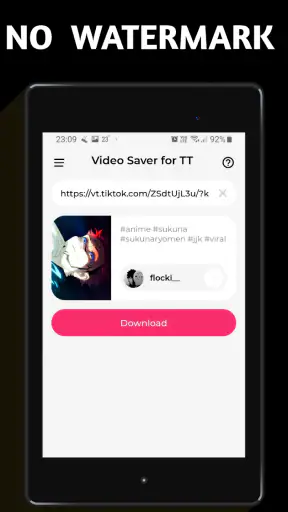 TSaver: Downloader for TT