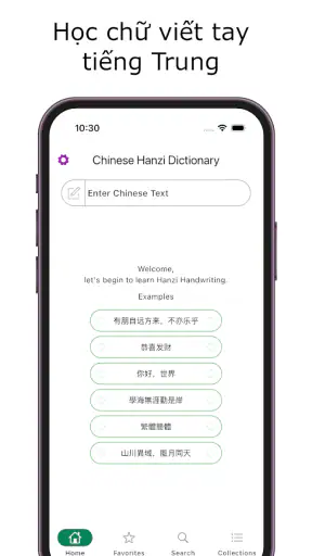 Viết Hán Tự