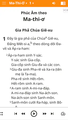 Vietnamese Bible