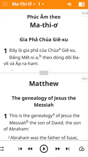 Vietnamese Bible