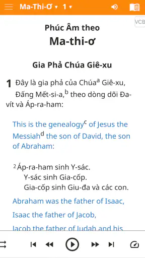 Vietnamese Bible