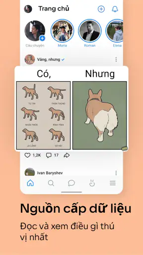 VK: mạng xã hội