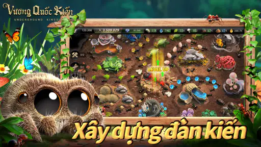 Vương Quốc Kiến - Gamota