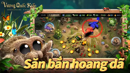 Vương Quốc Kiến - Gamota