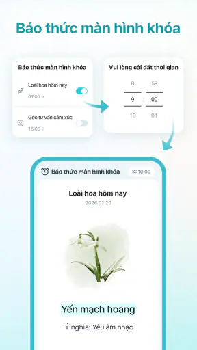 WellBit-Sức khỏe MH khóa+Alarm
