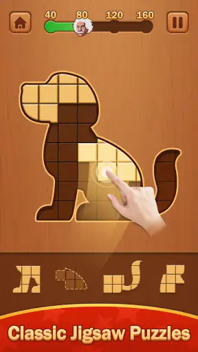 Wooden Block Jigsaw Puzzle