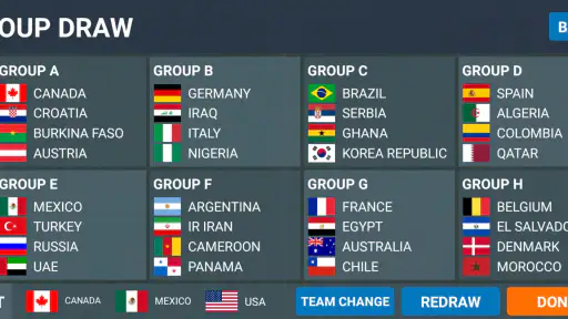 World Football Simulator
