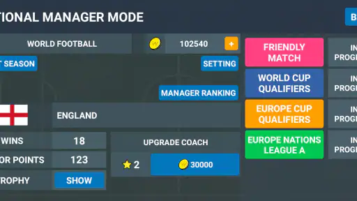 World Football Simulator