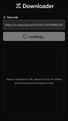 X Twitter Video Downloader